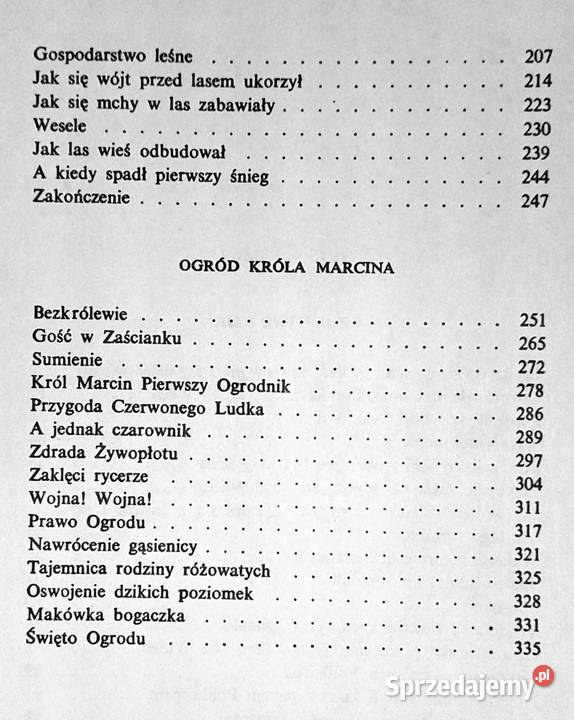 Królestwo bajki Ewa SzelburgZarembina Pozostałe Chełm