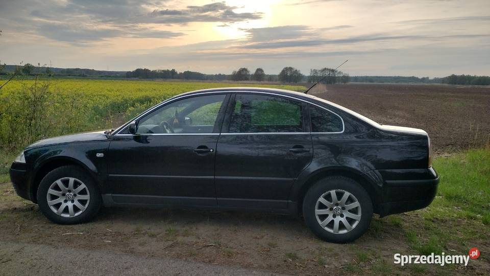 VW Passat B5 19TDI lubuskie Zielona Góra sprzedam