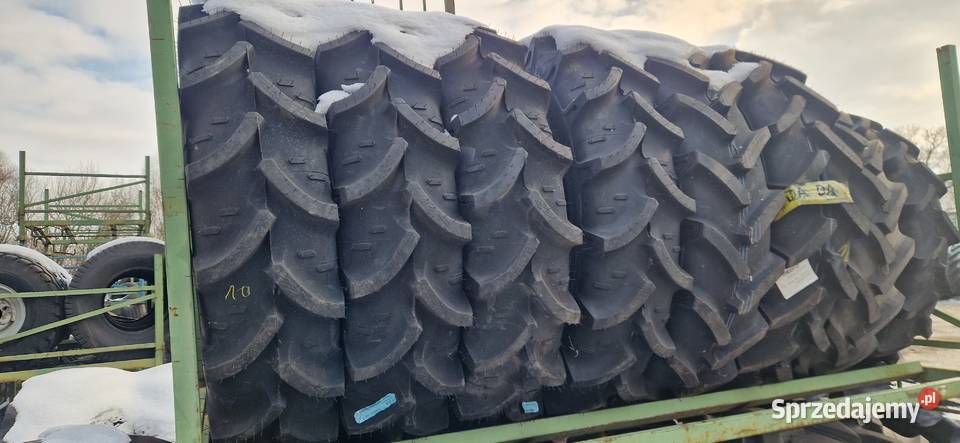 28085r28 112r28 11228 Cultor Kleber 2022 Nowe Nowe Miasto Lubawskie