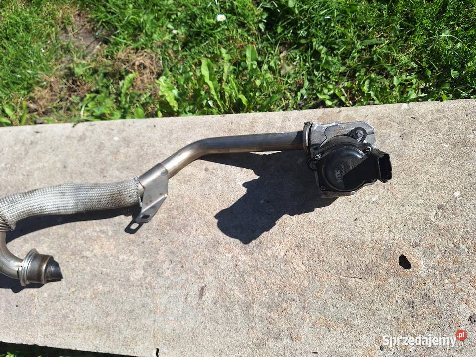 Egr NTK EGE5A001 97445 Ford 16 tdci