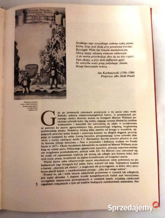 Polski bursztyn książka podkarpackie Rzeszów