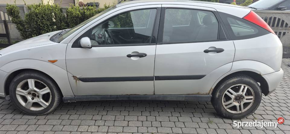 Ford focus Focus kujawsko-pomorskie Lipno