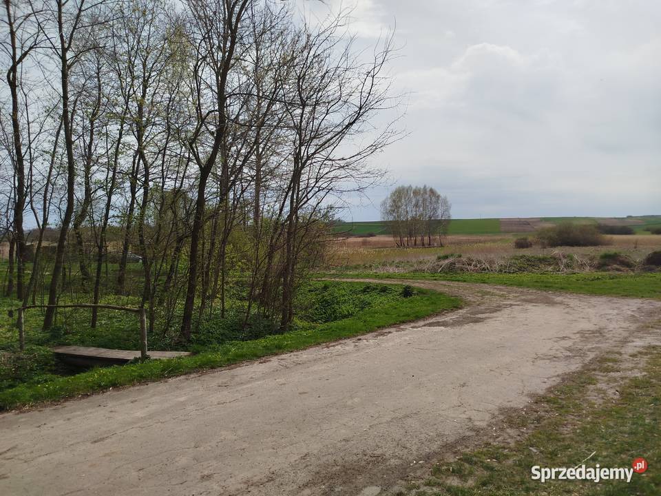 Sprzedam siedlisko z polem ornym klasy