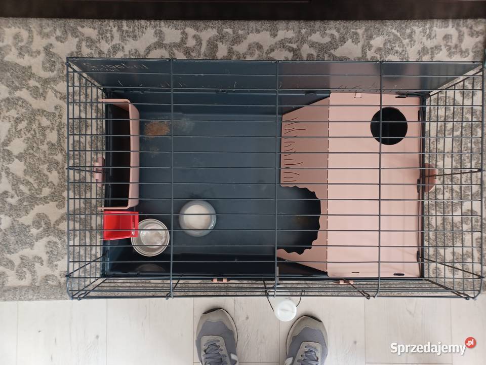 Sprzedam klatkę królika śląskie Cieszyn sprzedam