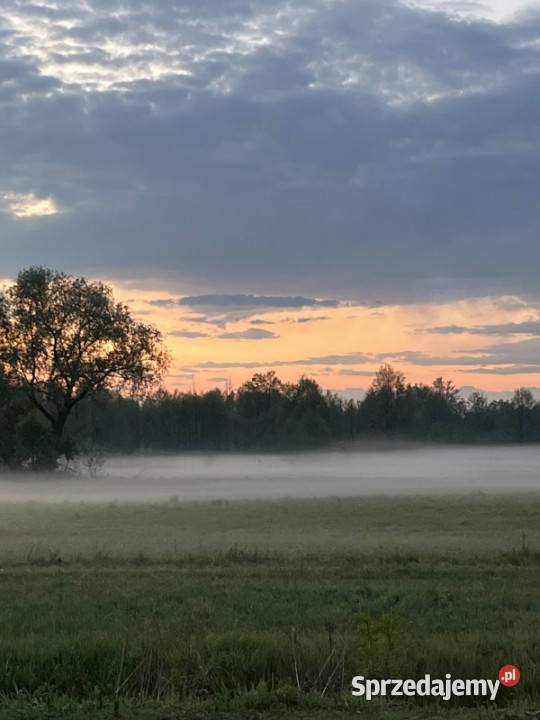 Twój nowoczesny azyl na styku rzek dom wśród łąk