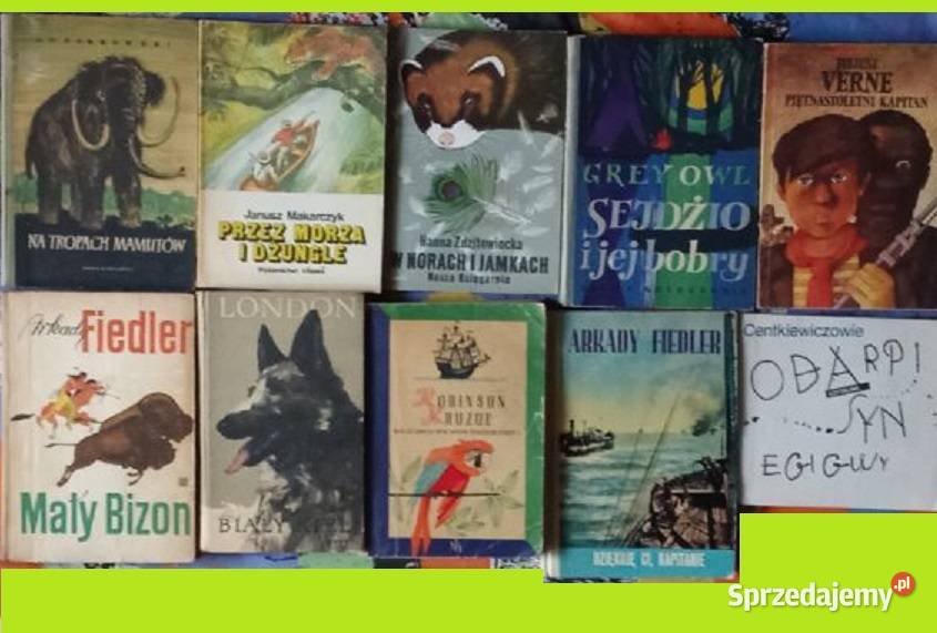 Fiedler Pokrowski Makarczyk Verne London Defoe Książki dla dzieci Łódź