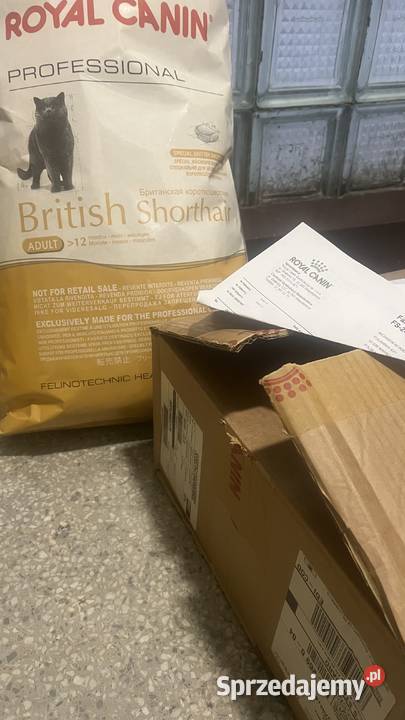 Każda RC Brit Maine Coon 15 Worek Kitten Adult Warszawa