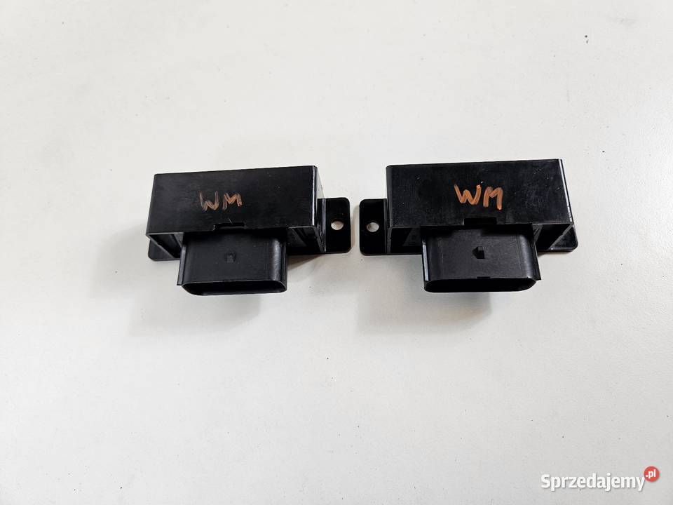 FORD FOCUS MK3 STEROWNIK POMPY PALIWA Międzychód