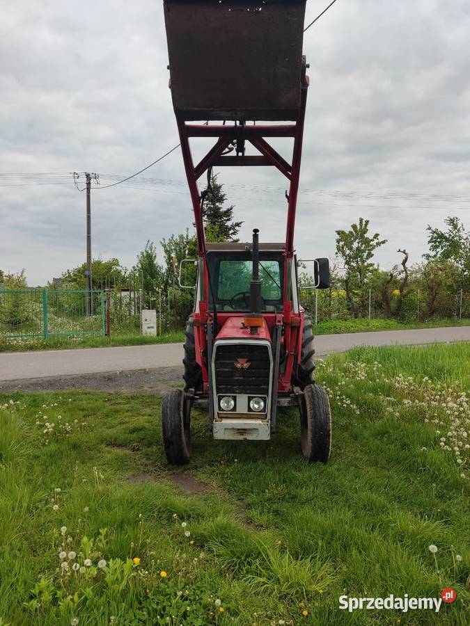 Ciągnik Massey Ferguson MF 560 z turem 70 Kutno