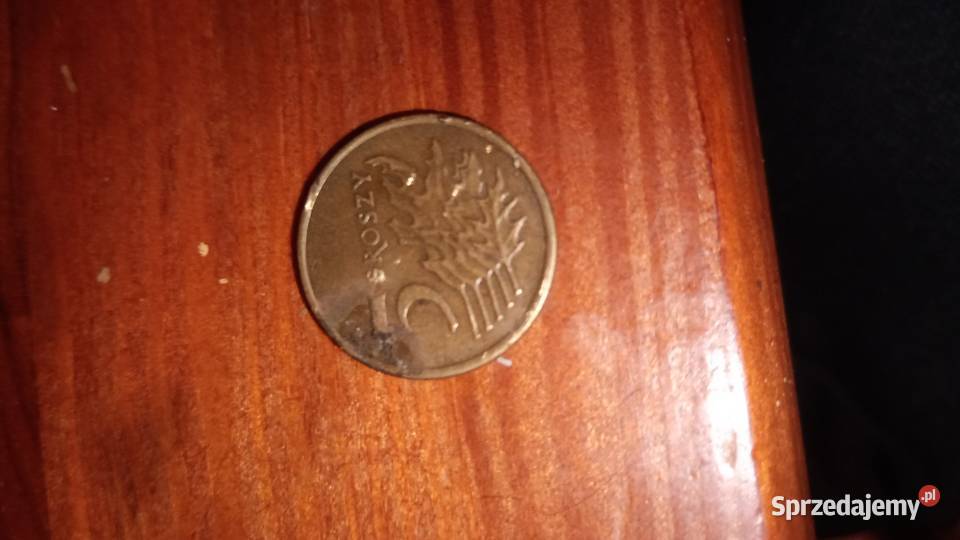Moneta 5 groszy z 1991r Antyki dolnośląskie Bożków