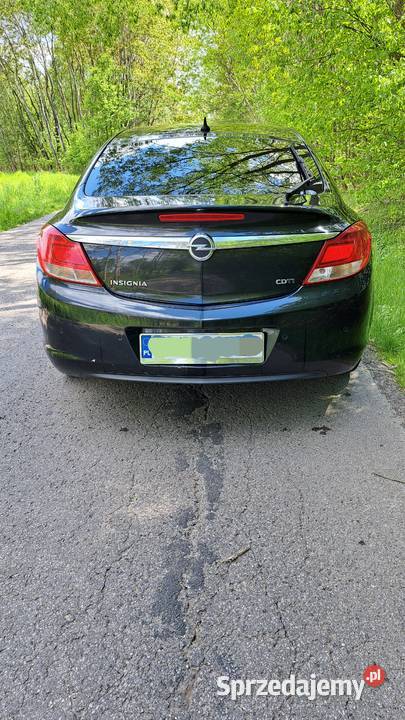Opel insignia podkarpackie Kolbuszowa sprzedam