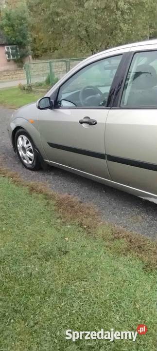 Ford Focus 2003 benzyna 16 lubelskie Zamość