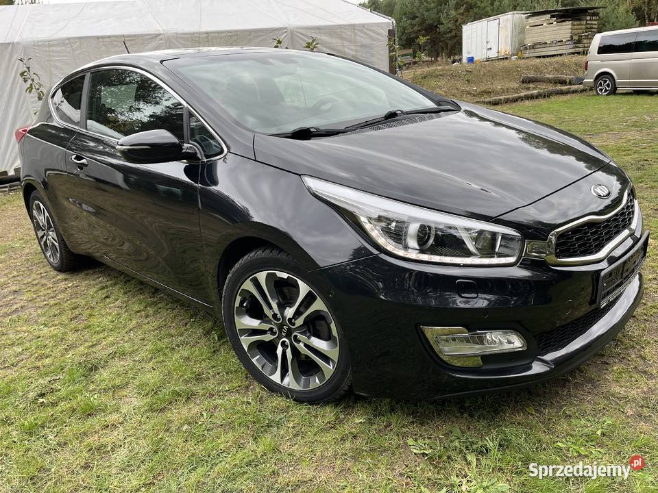 Kia Proceed Benzyna Niski Przebieg Poniatowa