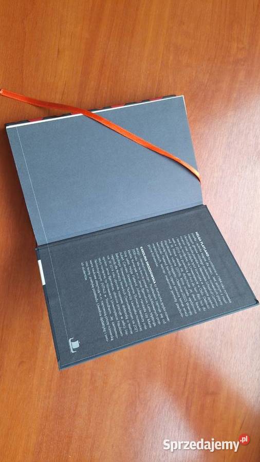 Książka Pogłos autor Helga Flatland wyd WP mazowieckie Legionowo