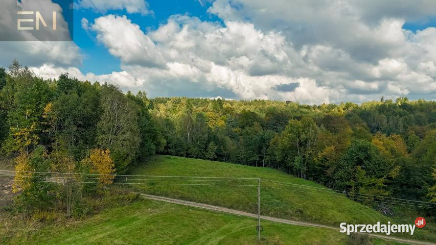 Działka 4000m2 Żyznów