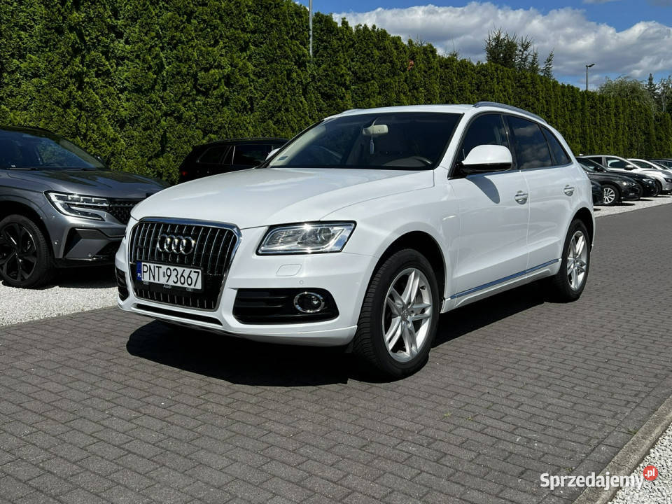Audi Q5 20T Quattro Panorama BangOlufsen Kamera Baranowo