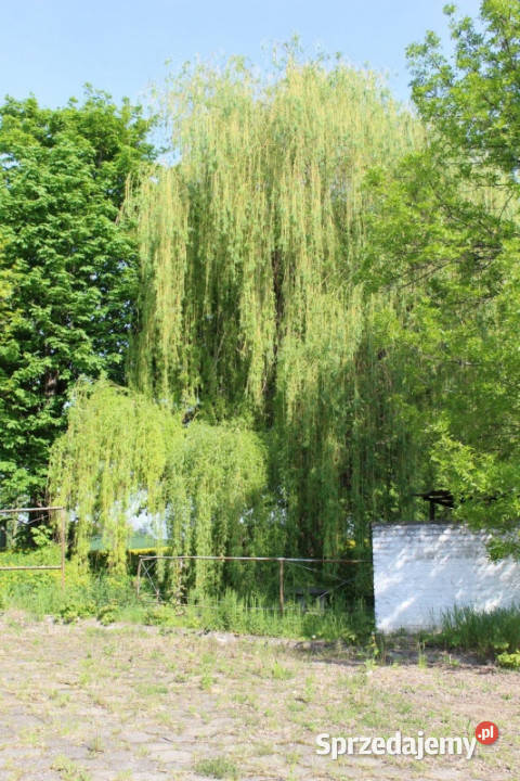 Sprzedam segment budynku z osobnym wejściem lubelskie Hulcze