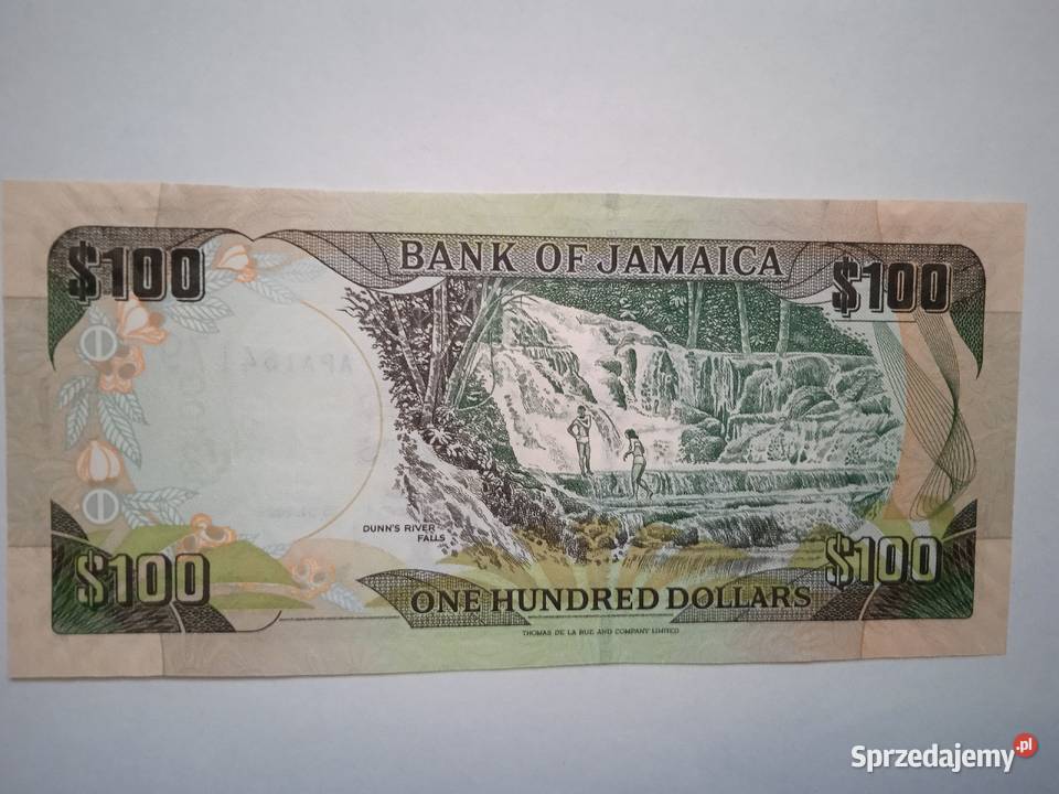 Jamajka 100 15012004 Zabrze sprzedam