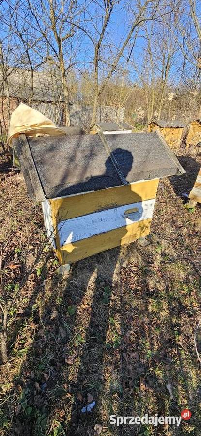 Sprzedam ule