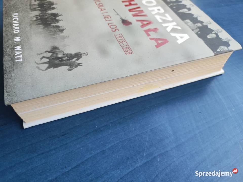 Gorzka chwała Polska i jej los 19181939 Richard Kielce