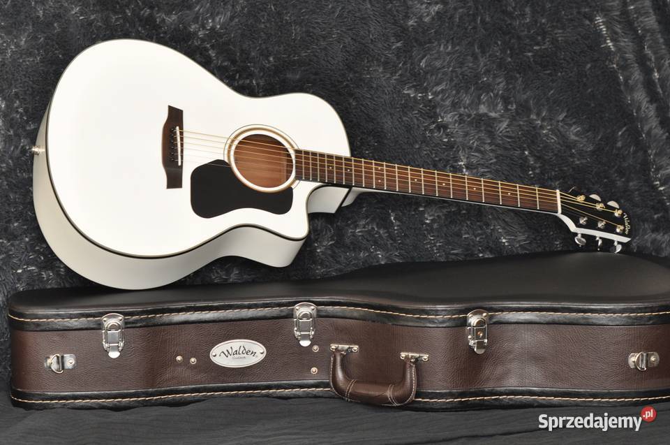 Gitara elektroakustyczna WALDEN Concorda Szczecin