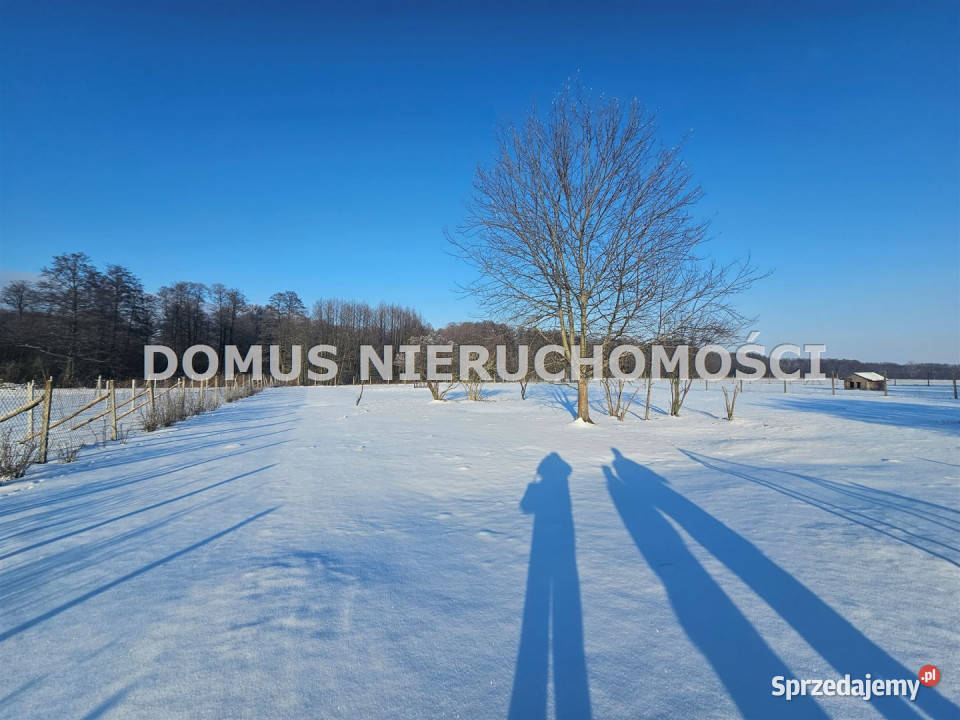 sprzedaży gruntu 4999m2 Rozworzyn gaz