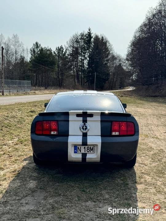 Ford Mustang V6 40 światła przeciwmgielne Motoryzacja Pasym