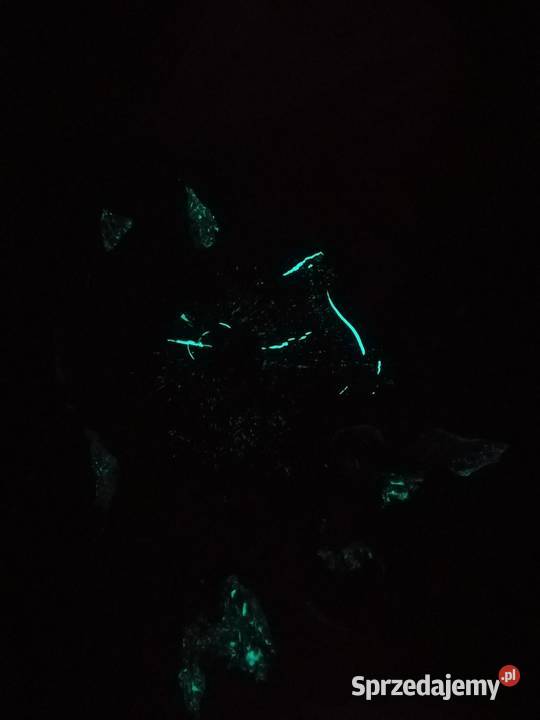 Stolik Kawowy Loft Akacja i Żywica Epoksydowa 60 50cm śląskie Częstochowa