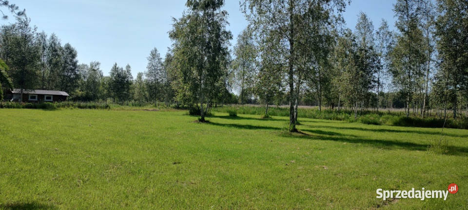 MAZURY Działka jeziorem Roś z dostępem do linii Szczechy Małe
