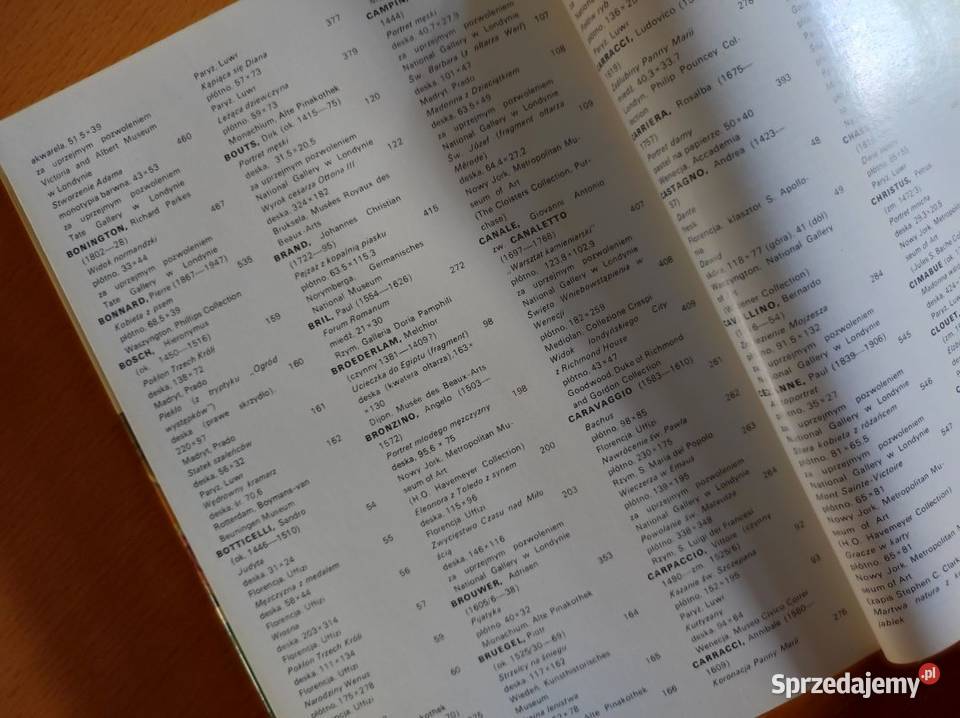 Giotta do Czannea Zarys historii malarstwa Rok wydania 1991 świętokrzyskie Kielce