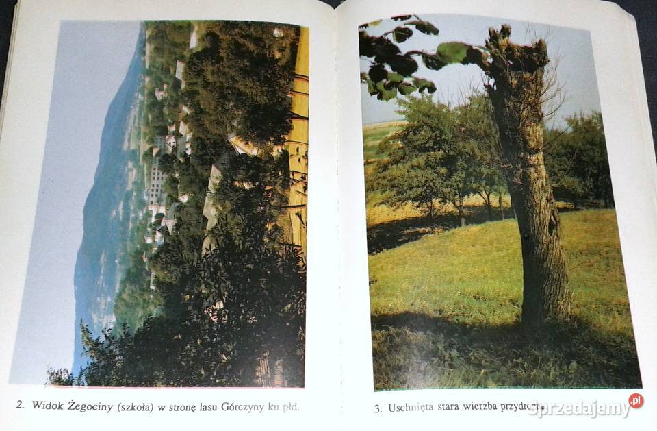 Żegocina dawna i współczesna W 700lecie Rok wydania 1993 Chełm