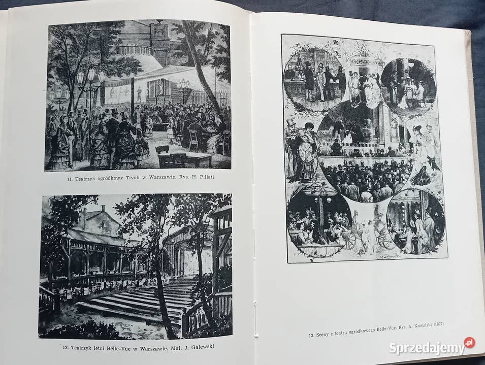 Literatura polska w okresie realizmu i Koźminek