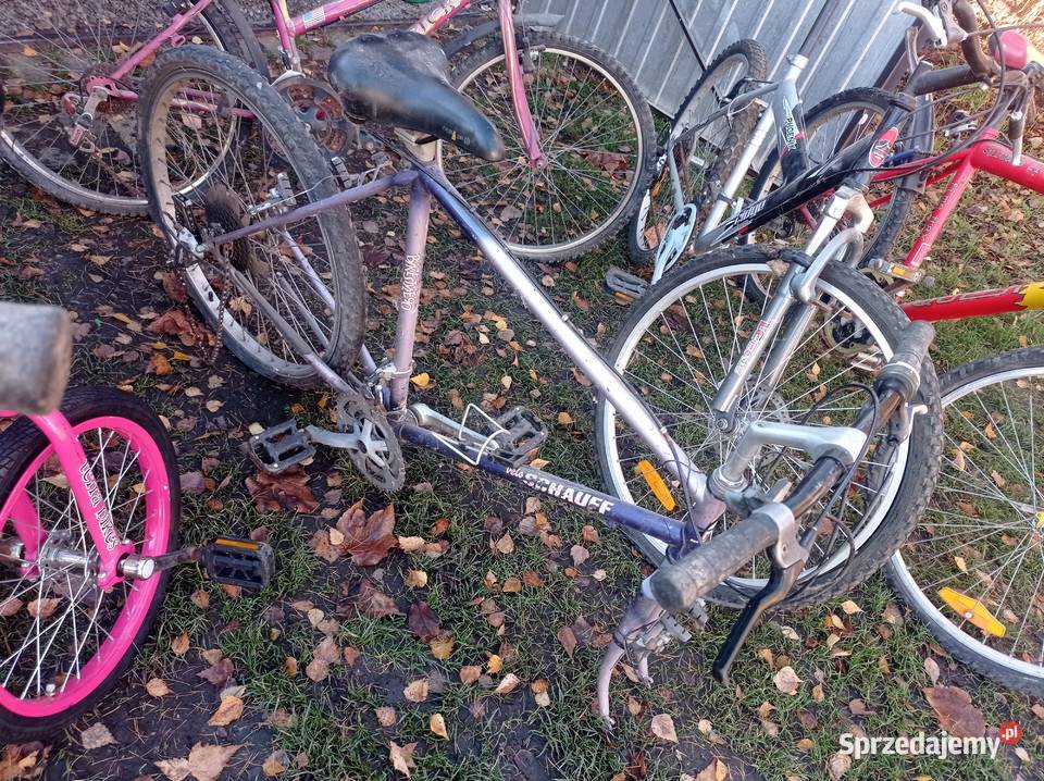 Pakiet Rowerów z Niemiec Góral Damka Męski Dzierżoniów