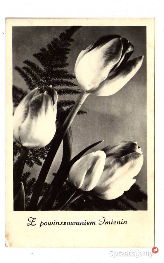 POCZTÓWKA OKOLICZNOŚCIOWA IMIENINY CZARNO BIAŁA Krynki