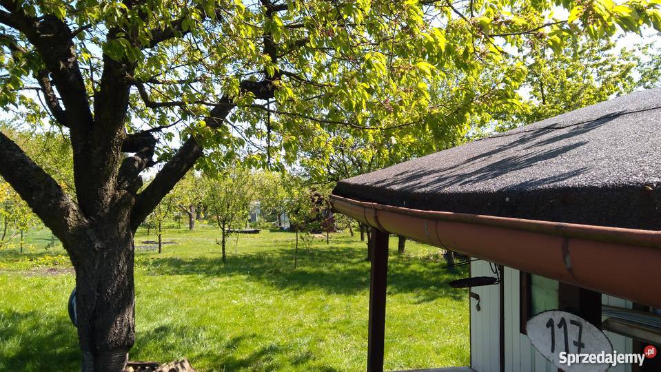 Działka rekreacyjna ROD NADZIEJA prąd woda Lubliniec