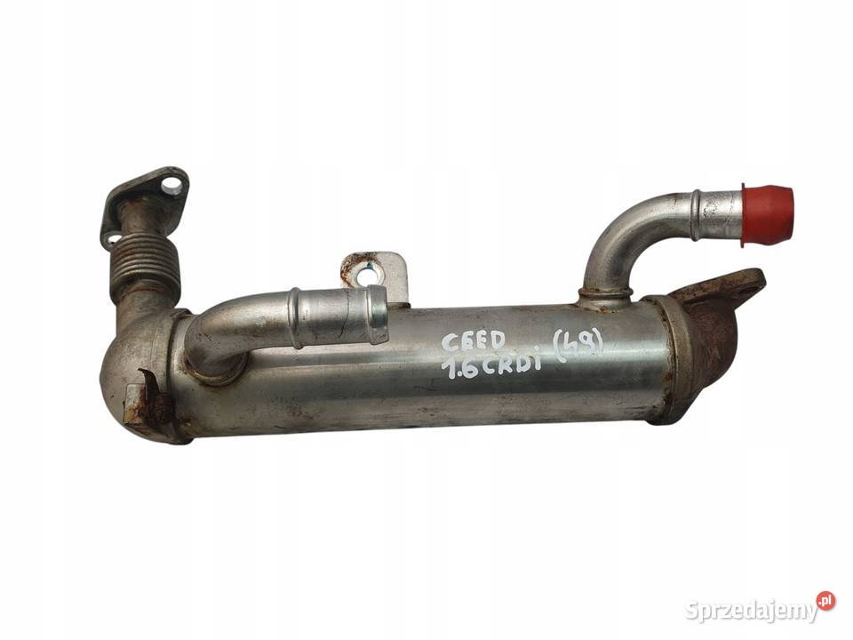 CHŁODNICA SPALIN Kia Ceed 16 CRDI 284162A730 Motoryzacja Chełm