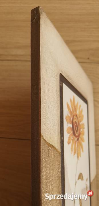 Obraz słoneczniki na desce Gdańsk