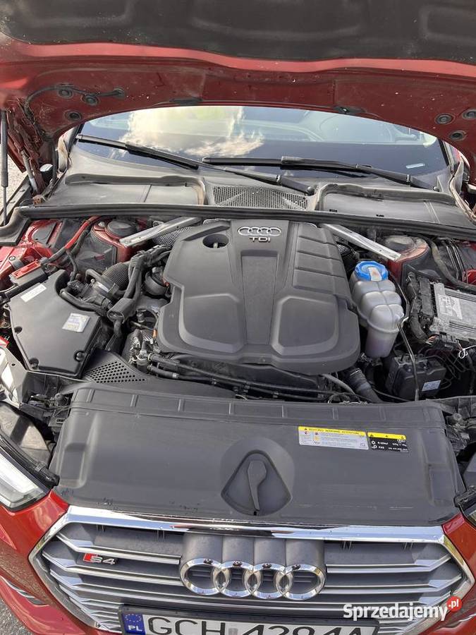 Audi a4b9 s linę 20tdi 150 pomorskie Chojnice