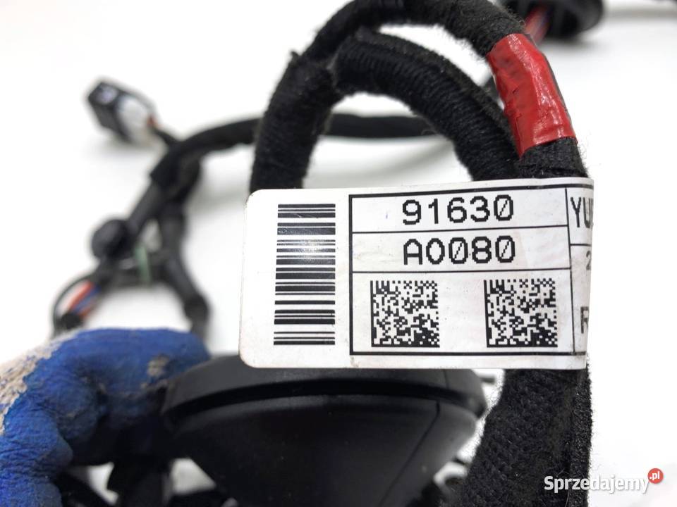 WIĄZKA DRZWI TYŁ PRAWY KIA NIRO II SG2 podkarpackie sprzedam