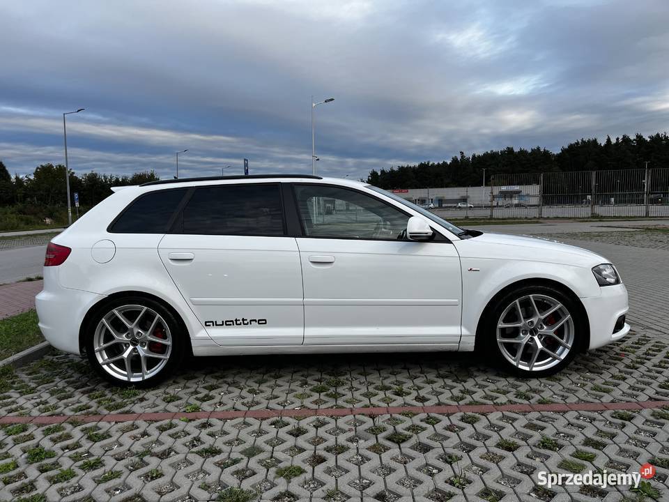 Audi A3 8P 20 TDI Quattro skórzana tapicerka Mielec