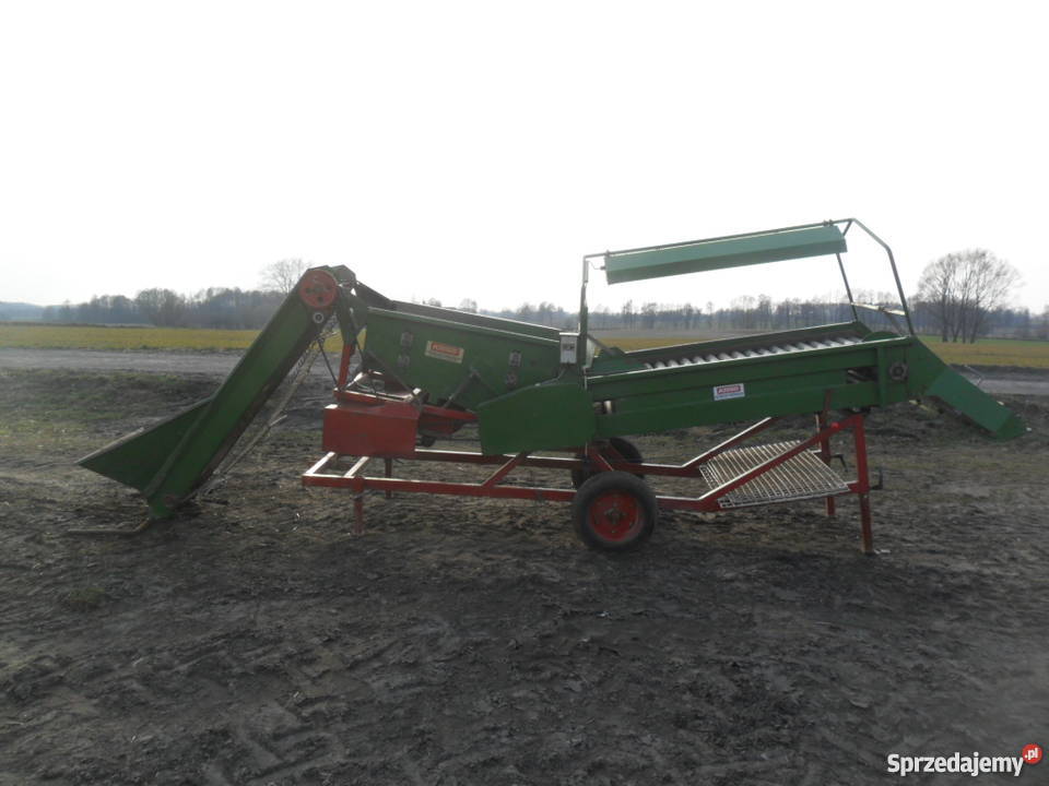 sortownik do ziemniaków cebulu remprodex