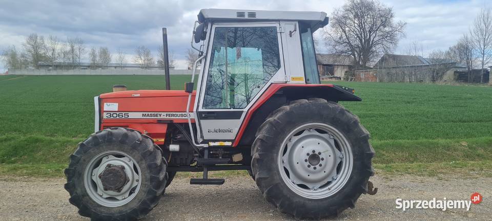 Massey ferguson 3065 Modliborzyce