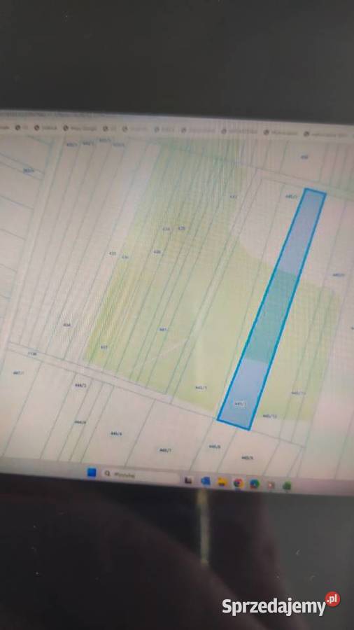 Sprzedam łake las 260000m2 Gołowierzchy sprzedam