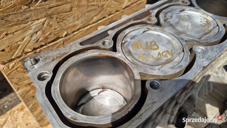 VW SKODA BLOK SILNIKA AUB 14 16V AUB 063801 80 Słowikowo sprzedam