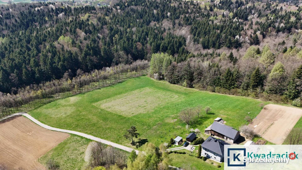 Działka 12569m2 Niepla podkarpackie sprzedam