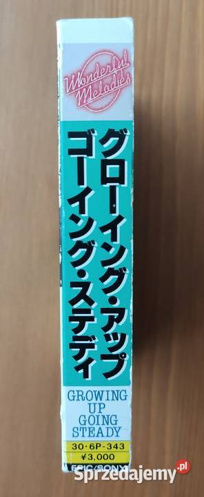 Wonderful Melodies Growing Up Going Steady małopolskie Bochnia