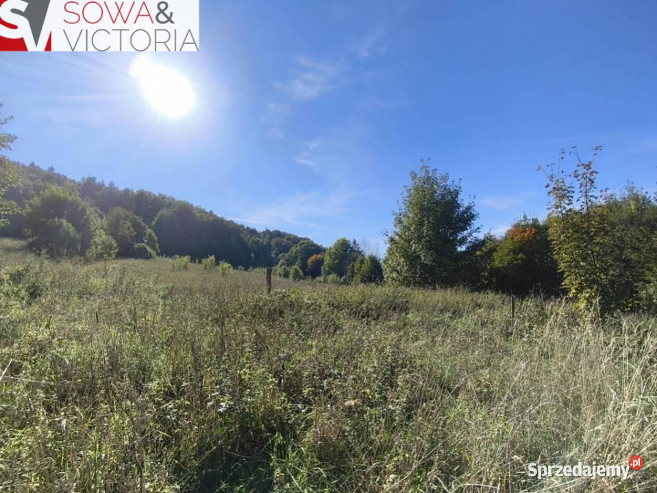 Działka rolnoleśna rolna Stare Bogaczowice