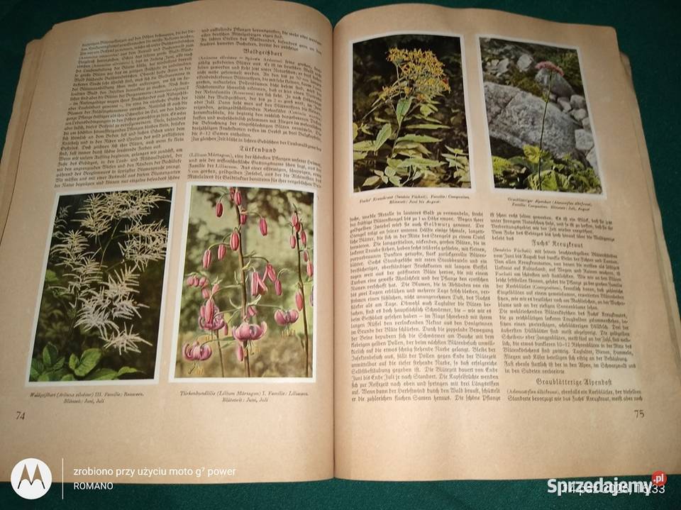 Książka album Flora europejska