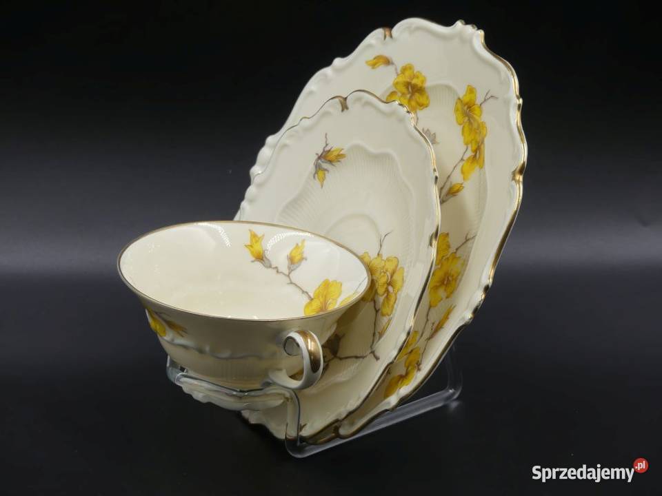 Komplet śniadaniowy Sorau Żary Forsycja stan