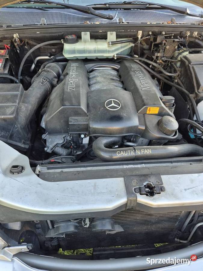 Mercedes ML 50 2002 210 zamiana na laweta Radzyń Podlaski